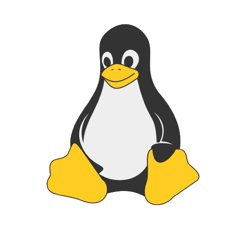 linux skill